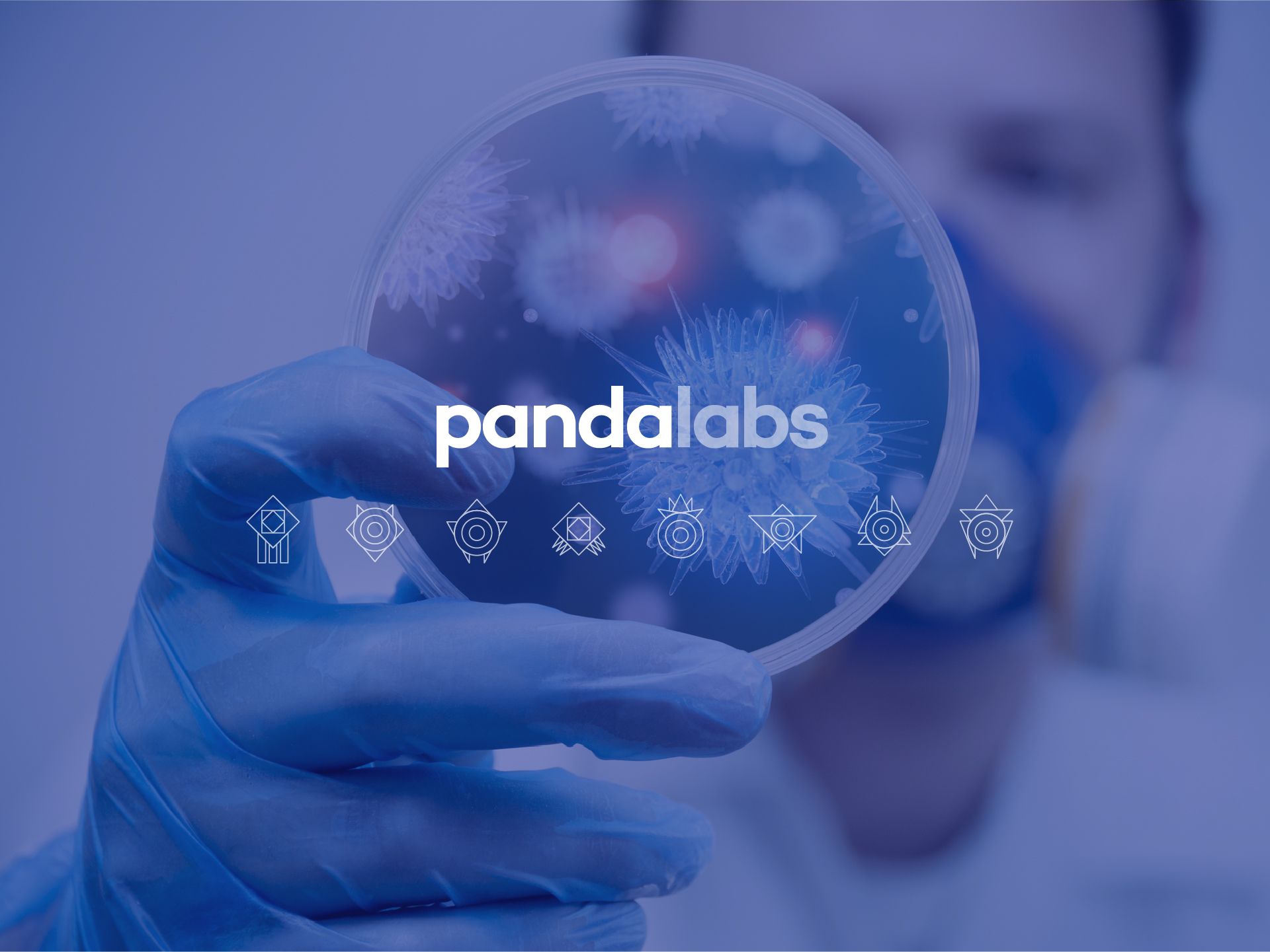 pandalabs-predictions