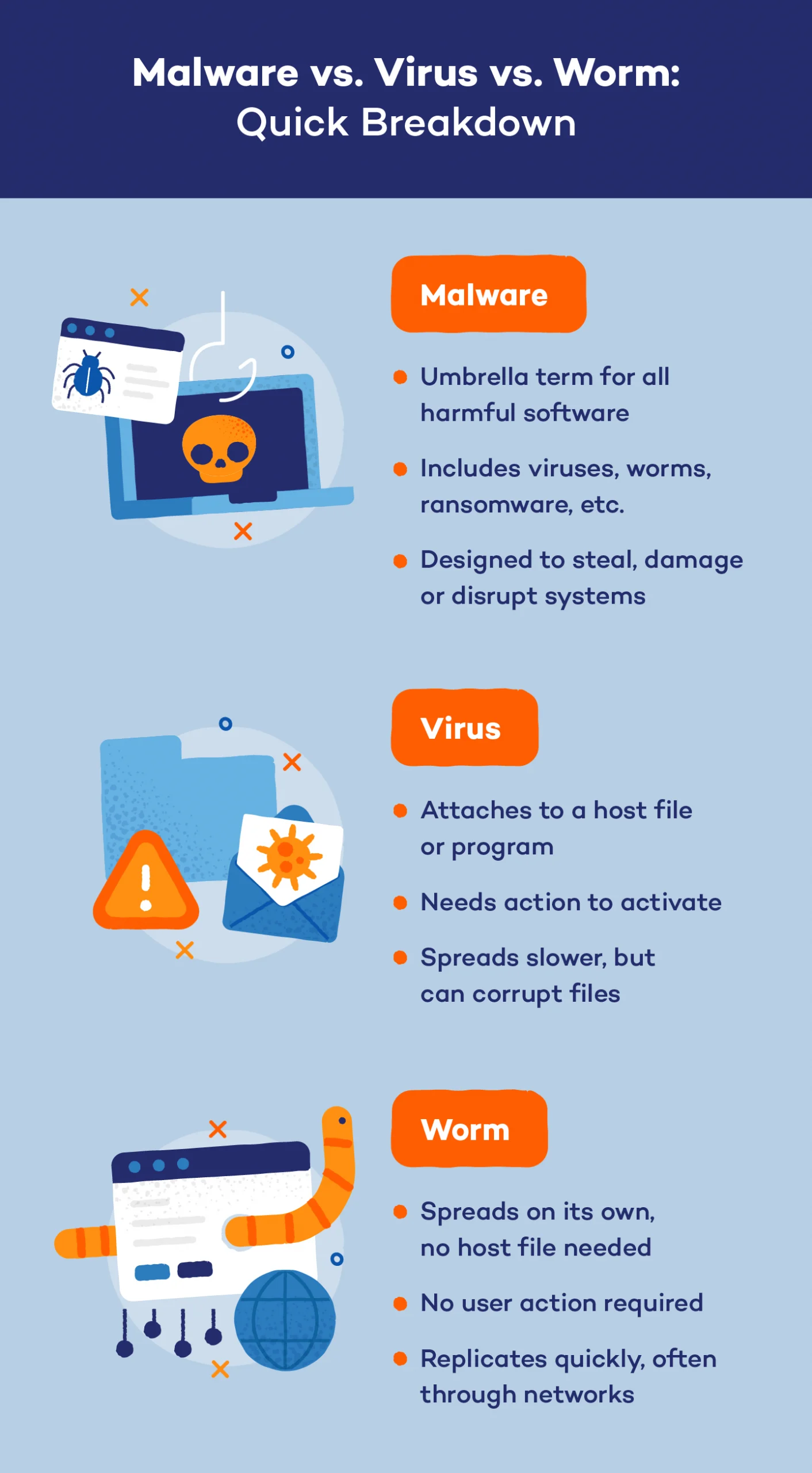 Infographic detailing main differences between malware, viruses and worms. 