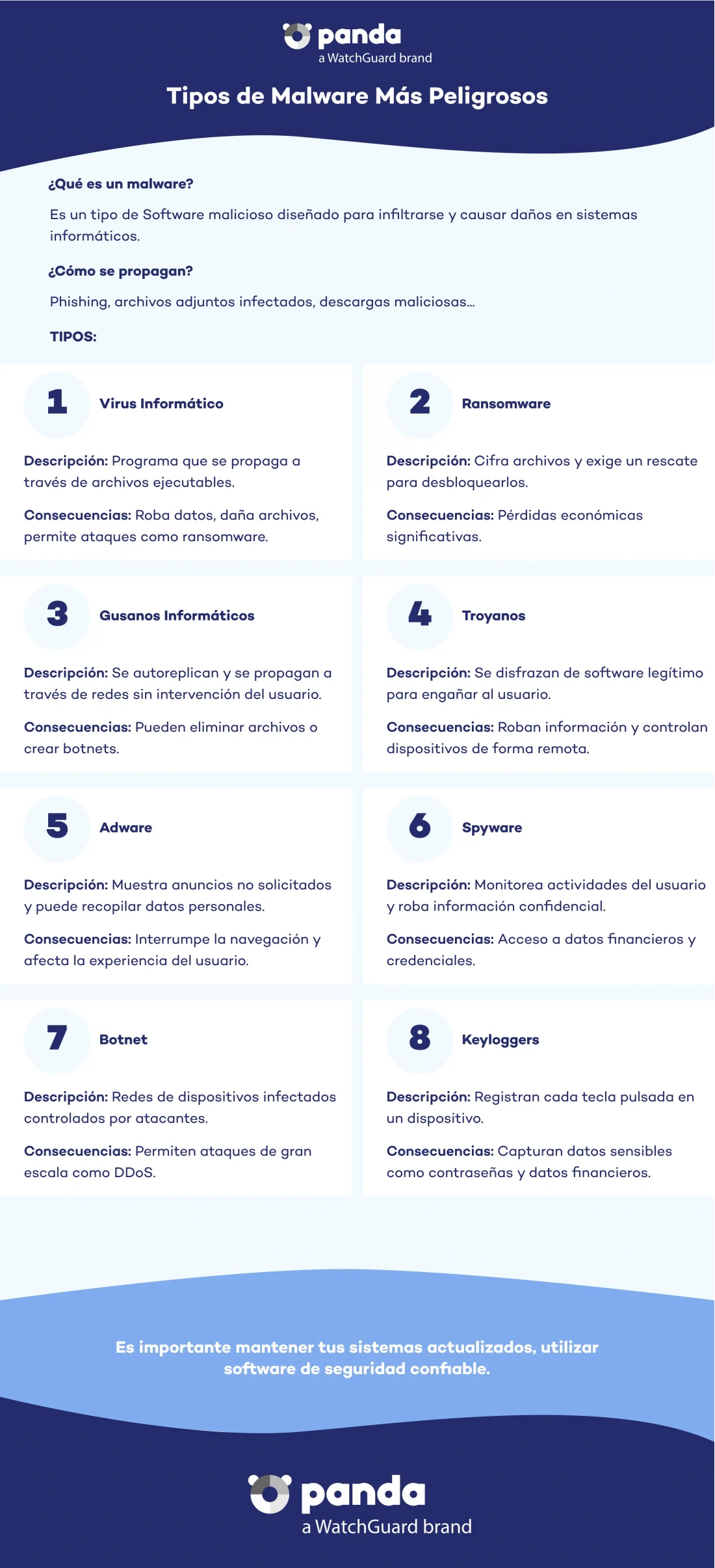 infografía tipos de malware